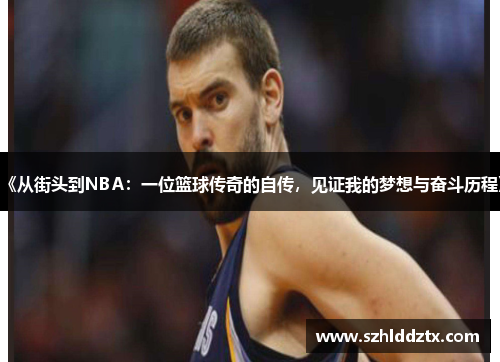 《从街头到NBA：一位篮球传奇的自传，见证我的梦想与奋斗历程》